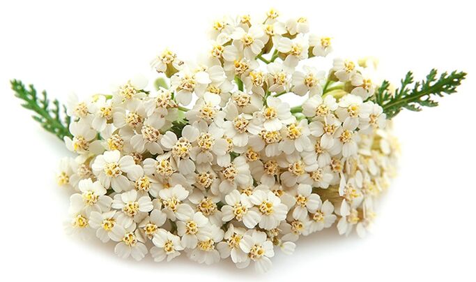 Gelarex contiene mille foglie